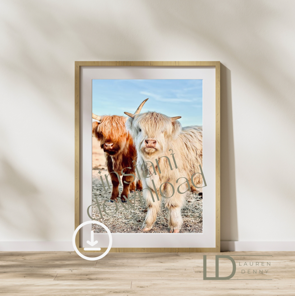 Walker and Millie Instant Digital Download; Highland Cow; Fluffy Cow Cattle Photography