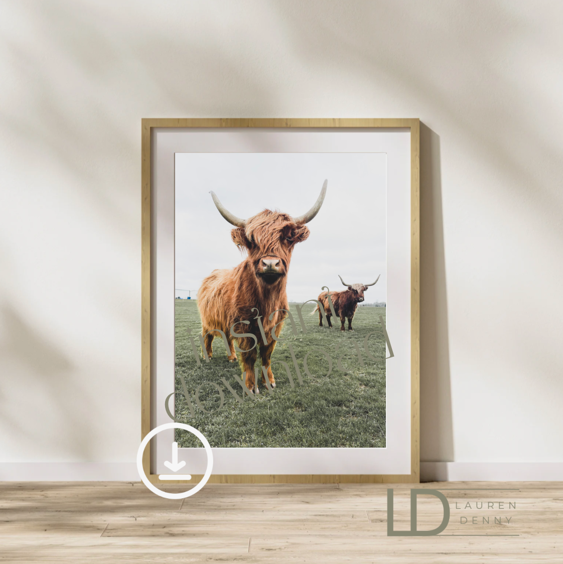 Ruby and Darla Instant Digital Download; Highland Cow; Fluffy Cow Cattle Photography