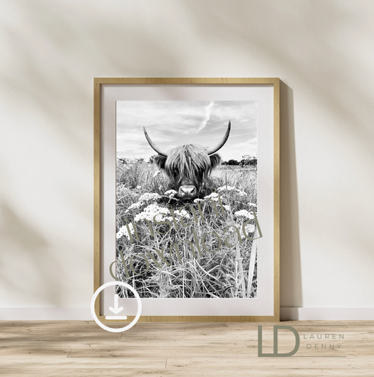 cow in flowers black and white Instant Digital Download; Highland Cow; Fluffy Cow Cattle Photography