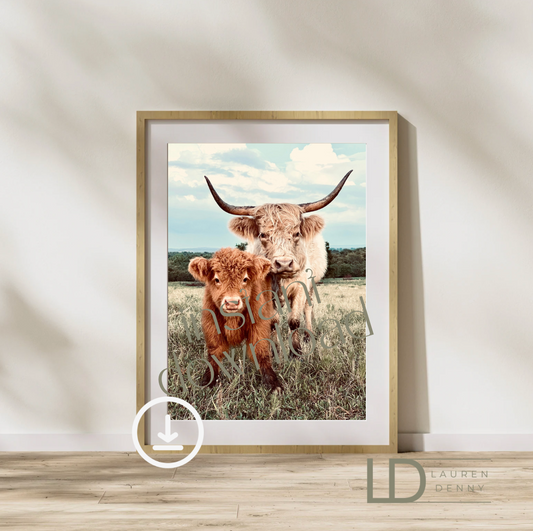 stella and calf Instant Digital Download; Highland Cow; Fluffy Cow Cattle Photography