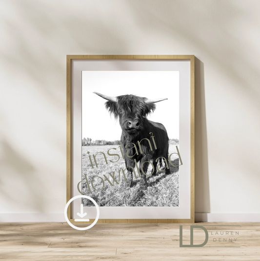 black and white maggie moo fluffy calf Henry Instant Digital Download; Highland Cow; Fluffy Cow Cattle Photography