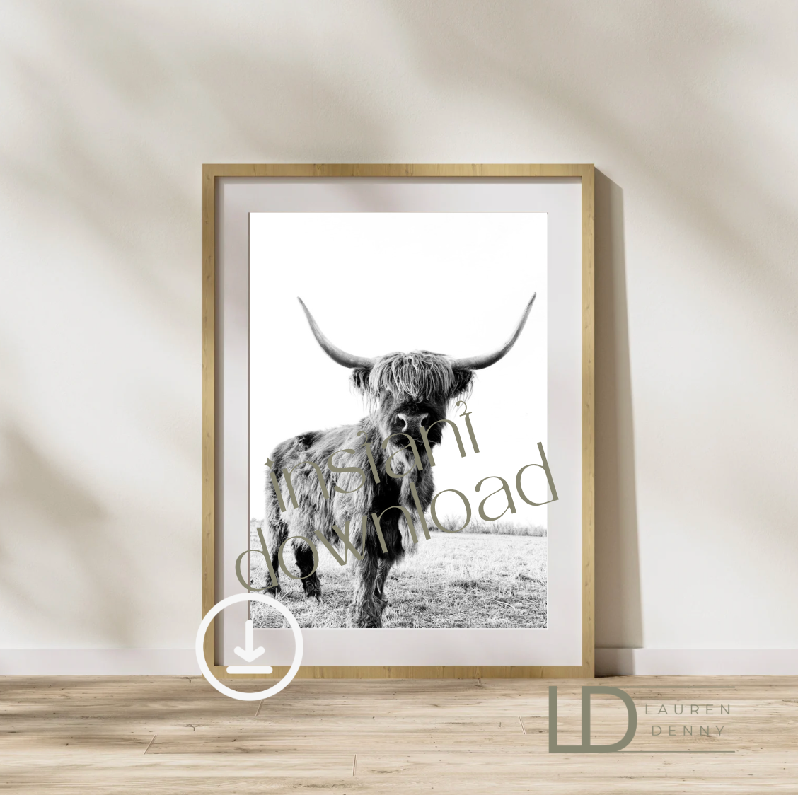 black and white Darla Instant Digital Download; Highland Cow; Fluffy Cow Cattle Photography
