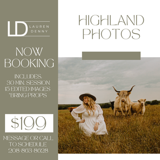 Book Your Highland Cow Mini Photoshoot