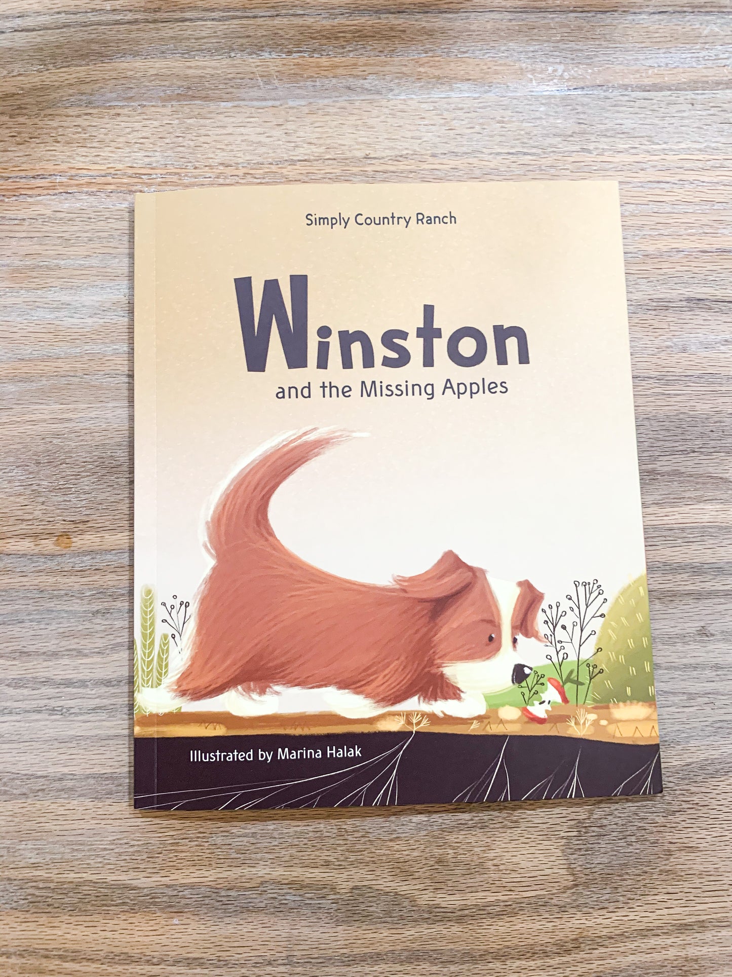 Winston and the Missing Apples Paperback Book