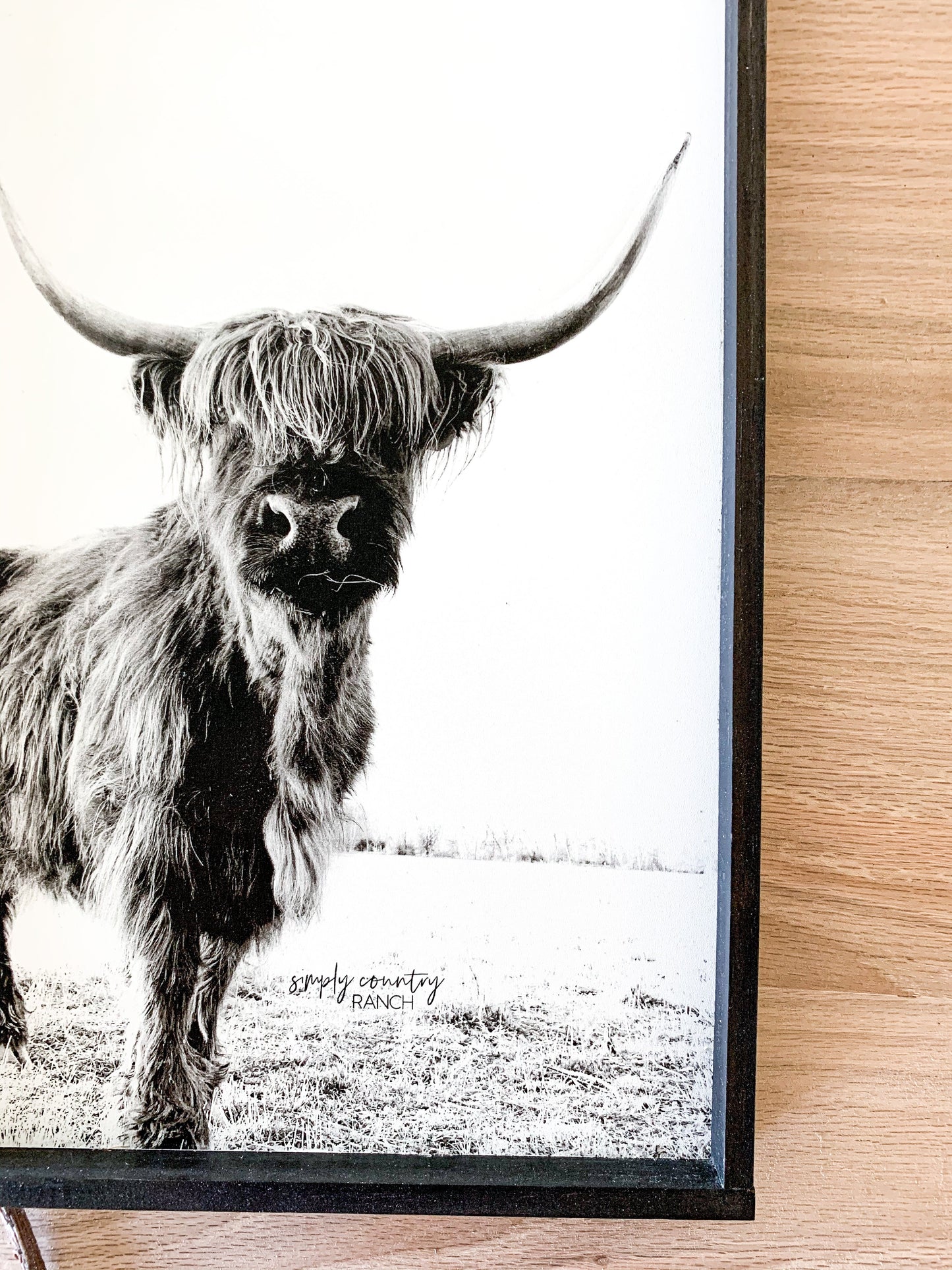 Darla Highland Cow Black and White fluffy cow horned cow