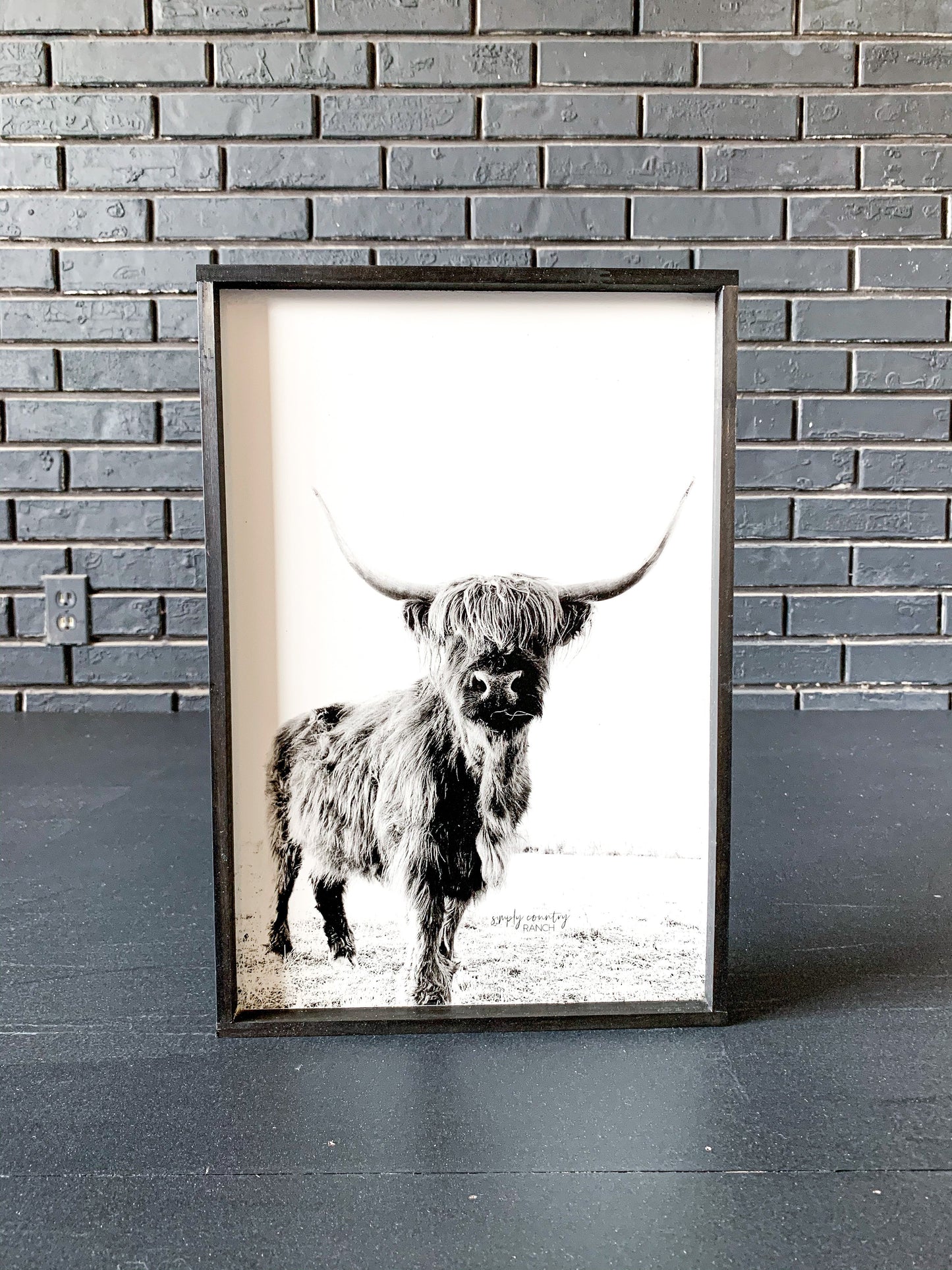 Darla Highland Cow Black and White fluffy cow horned cow