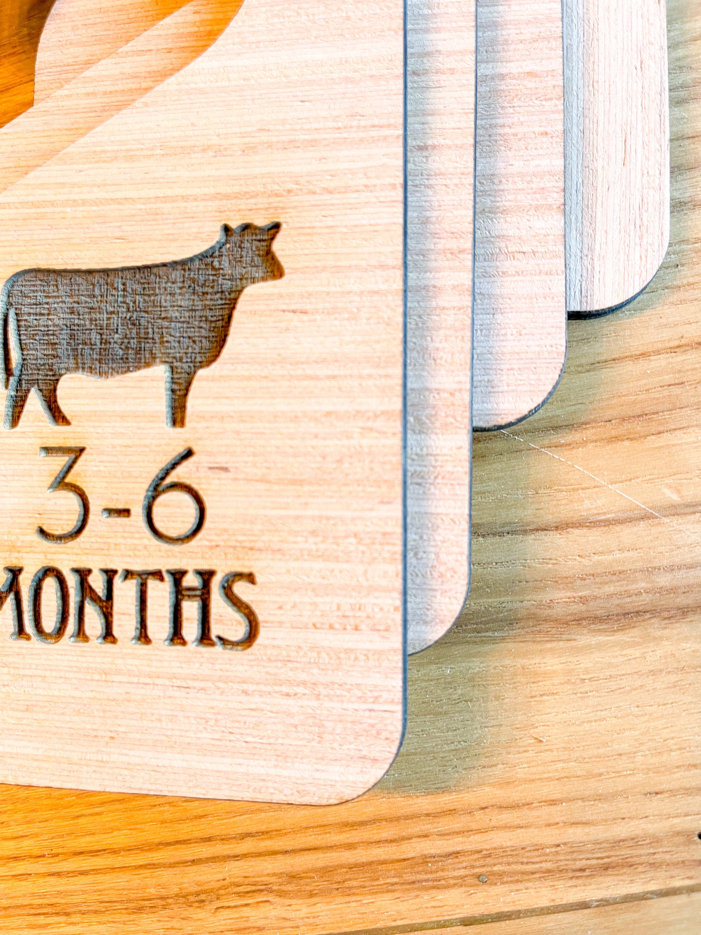 Cattle Ear Tag Baby laser engraved Milestone cards + closet hangers ; photo props; new born; babyshower gift Western Country