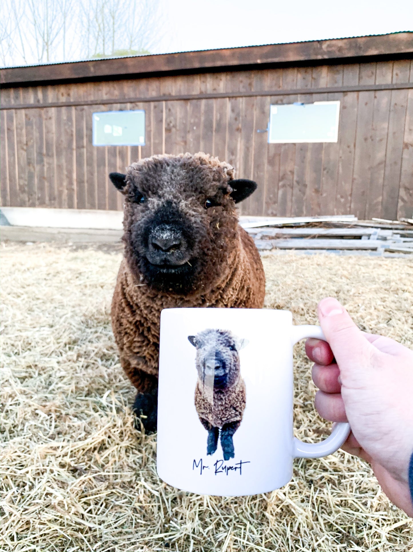 Rupert Simply Country Ranch Coffee Mug