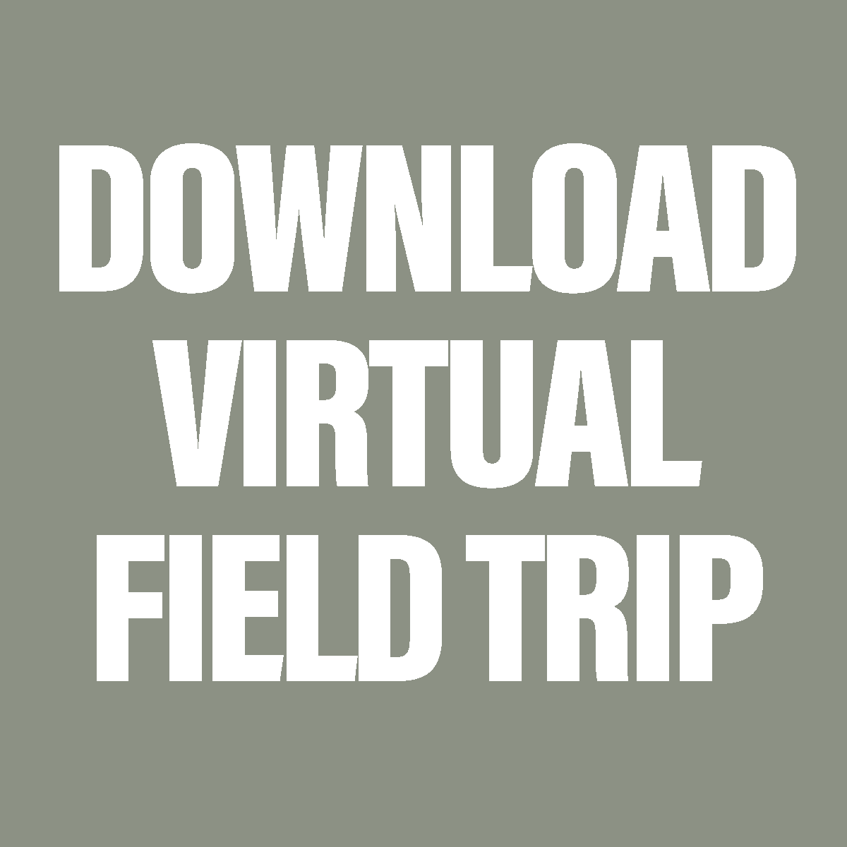 Downloadable Virtual Field Trip: Simply Country Ranch